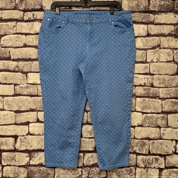 Talbots Blue & White Polka Dot Pants Size 14P - Picture 1 of 9